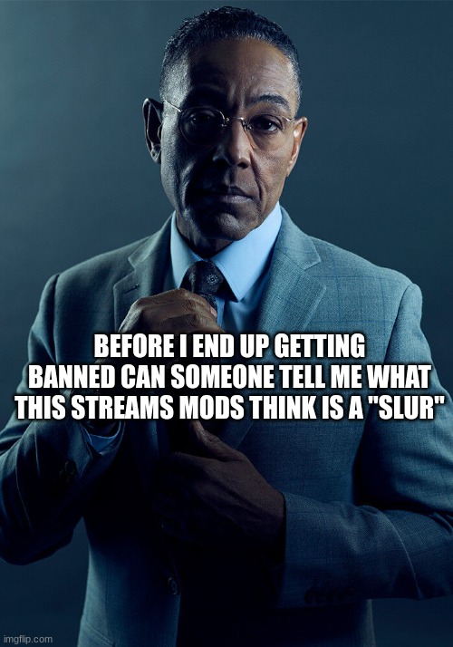 because it can be like a slurppy yk what I'm saying | BEFORE I END UP GETTING BANNED CAN SOMEONE TELL ME WHAT THIS STREAMS MODS THINK IS A "SLUR" | image tagged in gus fring we are not the same | made w/ Imgflip meme maker