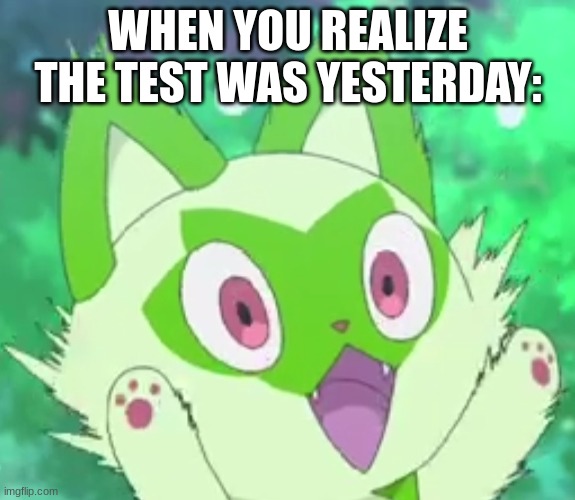 Sprigatito shocked | WHEN YOU REALIZE THE TEST WAS YESTERDAY: | image tagged in sprigatito shocked | made w/ Imgflip meme maker
