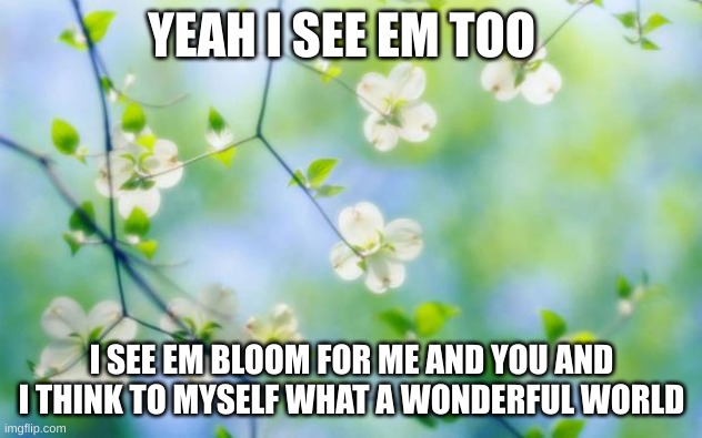 flowers | YEAH I SEE EM TOO I SEE EM BLOOM FOR ME AND YOU AND I THINK TO MYSELF WHAT A WONDERFUL WORLD | image tagged in flowers | made w/ Imgflip meme maker