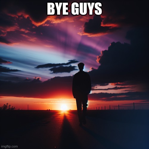 sad person slowly walking away on a beautiful sunset | BYE GUYS | image tagged in sad person slowly walking away on a beautiful sunset | made w/ Imgflip meme maker