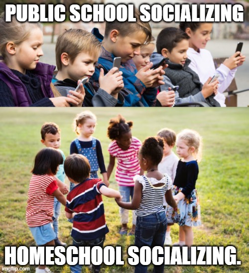 What about Socializing? | PUBLIC SCHOOL SOCIALIZING; HOMESCHOOL SOCIALIZING. | image tagged in social not social,high school,homeschool | made w/ Imgflip meme maker