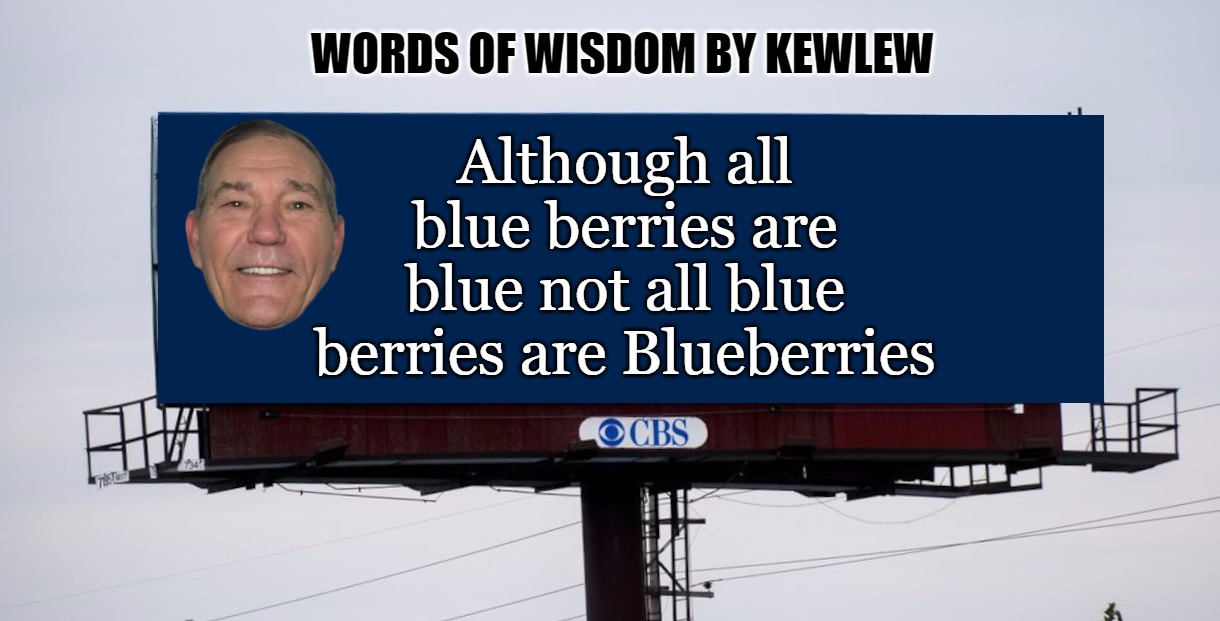 blueberries | WORDS OF WISDOM BY KEWLEW; Although all blue berries are blue not all blue berries are Blueberries | image tagged in blueberries,blue berries,kewlew | made w/ Imgflip meme maker
