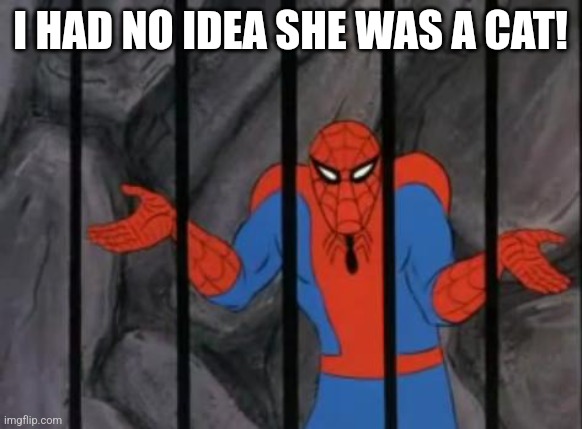 spiderman jail | I HAD NO IDEA SHE WAS A CAT! | image tagged in spiderman jail | made w/ Imgflip meme maker