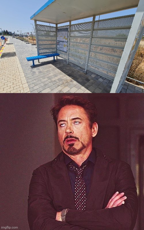 Sideways bench | image tagged in robert downey jr annoyed,sideways,bench,benches,you had one job,memes | made w/ Imgflip meme maker