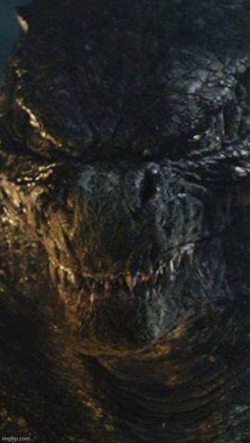 Angry Godzilla | image tagged in angry godzilla | made w/ Imgflip meme maker