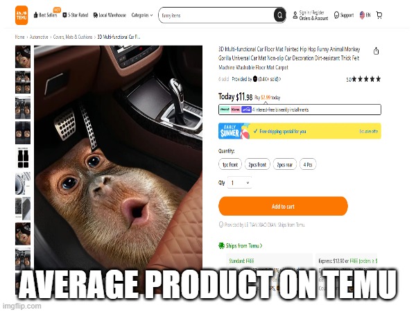 AVERAGE PRODUCT ON TEMU | made w/ Imgflip meme maker