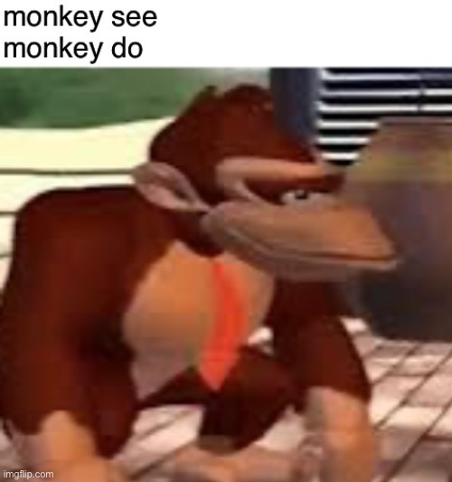 Monkey see monkey do | image tagged in monkey see monkey do | made w/ Imgflip meme maker