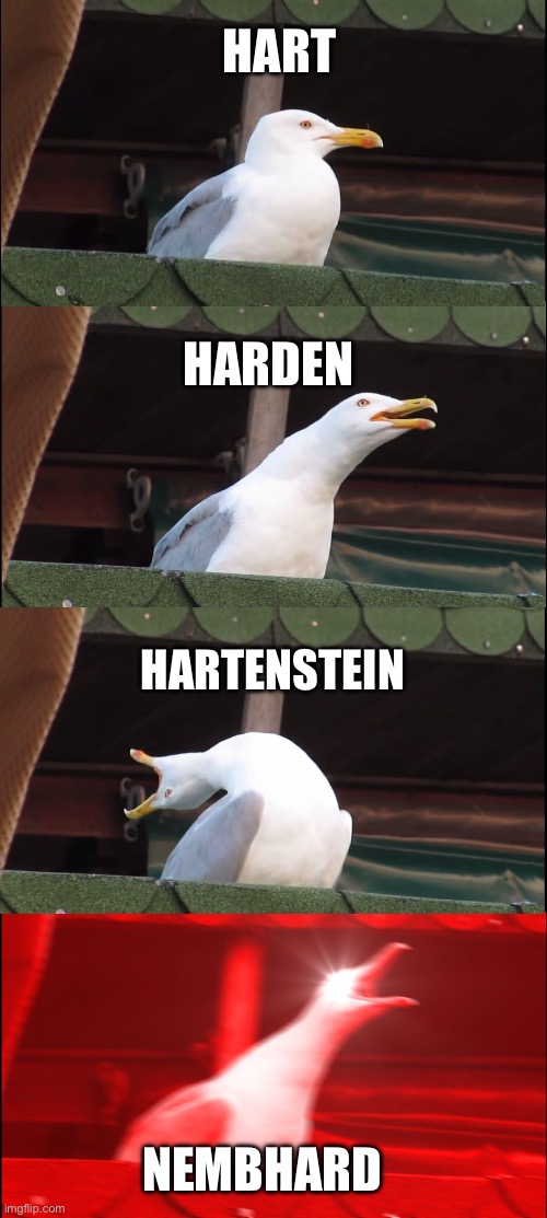 Inhaling Seagull | HART; HARDEN; HARTENSTEIN; NEMBHARD | image tagged in memes,inhaling seagull,nba | made w/ Imgflip meme maker