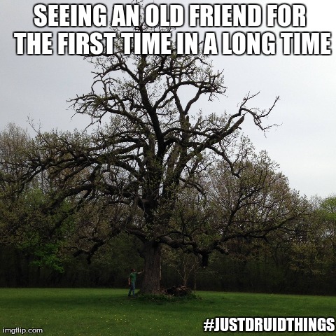 SEEING AN OLD FRIEND FOR THE FIRST TIME IN A LONG TIME #JUSTDRUIDTHINGS | made w/ Imgflip meme maker