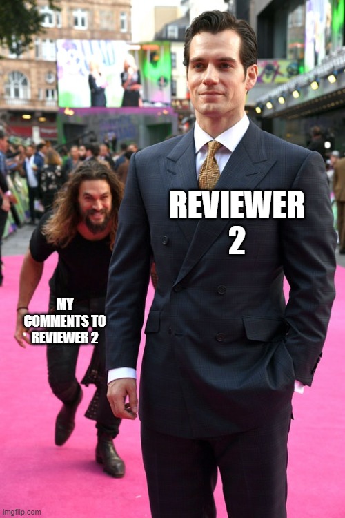 Jason Momoa Henry Cavill Meme | REVIEWER 2; MY COMMENTS TO REVIEWER 2 | image tagged in jason momoa henry cavill meme | made w/ Imgflip meme maker