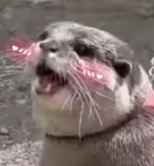 Otter | image tagged in aheago hana the otter rule 34 | made w/ Imgflip meme maker