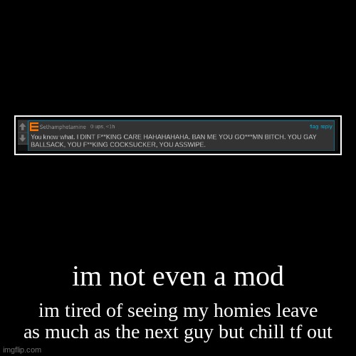 im even comment banned rn | im not even a mod | im tired of seeing my homies leave as much as the next guy but chill tf out | image tagged in funny,demotivationals | made w/ Imgflip demotivational maker
