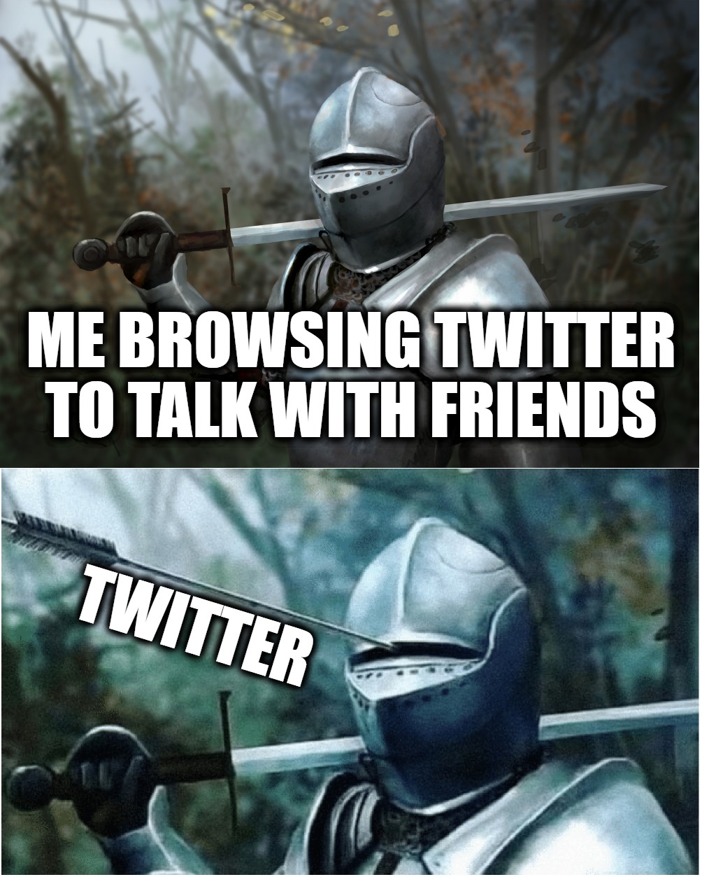 Relatable? | ME BROWSING TWITTER TO TALK WITH FRIENDS; TWITTER | image tagged in knight with arrow in helmet | made w/ Imgflip meme maker