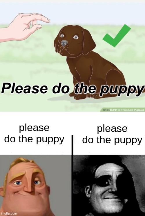 please do the puppy; please do the puppy | image tagged in please do the puppy,teacher's copy | made w/ Imgflip meme maker