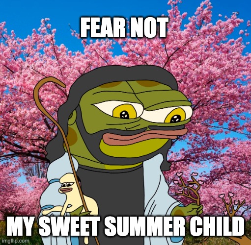 fear not my sweet boy | FEAR NOT; MY SWEET SUMMER CHILD | image tagged in hoppy shepherd | made w/ Imgflip meme maker