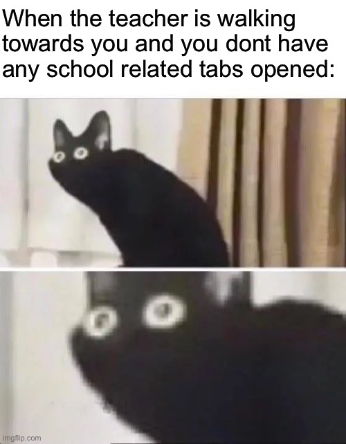 Oh No Black Cat | When the teacher is walking towards you and you dont have any school related tabs opened: | image tagged in oh no black cat | made w/ Imgflip meme maker