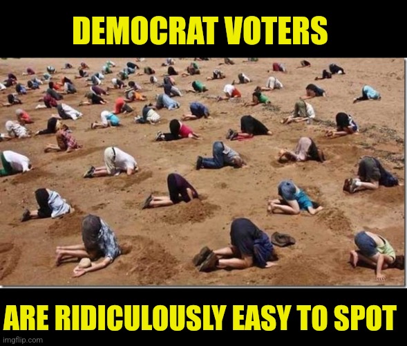 Democrat voters are about as easy to spot as a polar bear at a penguin convention... | DEMOCRAT VOTERS; ARE RIDICULOUSLY EASY TO SPOT | image tagged in head in sand,crying democrats,triggered liberal,liberal hypocrisy,stupid people be like,truth | made w/ Imgflip meme maker