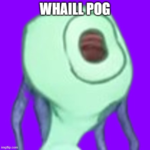 whaill pog | WHAILL POG | image tagged in whaill pog | made w/ Imgflip meme maker