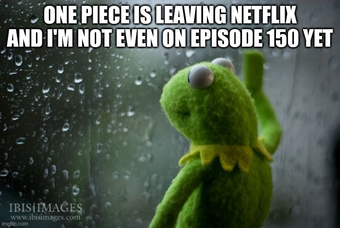 I can watch it on another streaming service but only Netflix has skip intro and English dub | ONE PIECE IS LEAVING NETFLIX AND I'M NOT EVEN ON EPISODE 150 YET | image tagged in kermit window | made w/ Imgflip meme maker