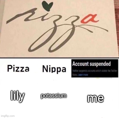 Pizza nippa account suspended | lily; potassium; me | image tagged in pizza nippa account suspended | made w/ Imgflip meme maker