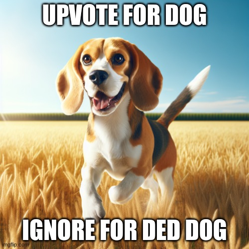 downvote for no dog | UPVOTE FOR DOG; IGNORE FOR DED DOG | image tagged in dog,memes,upvotes,funny,dogs | made w/ Imgflip meme maker
