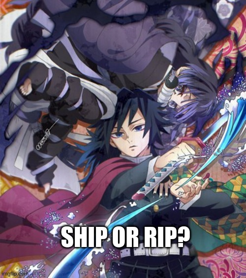 Ship or No | SHIP OR RIP? | image tagged in demon slayer,giyuu | made w/ Imgflip meme maker