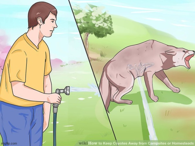 WikiHow Spraying the Dog | image tagged in wikihow spraying the dog | made w/ Imgflip meme maker