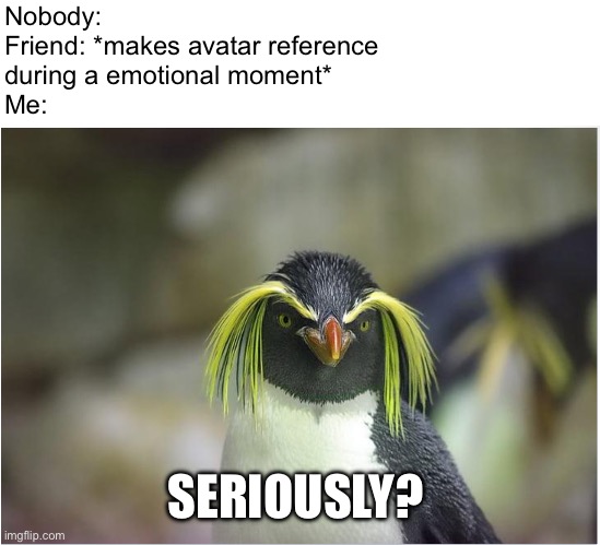 Seriously? | Nobody:
Friend: *makes avatar reference 
during a emotional moment* 
Me:; SERIOUSLY? | image tagged in avatar the last airbender,penguin,friends,seriously face | made w/ Imgflip meme maker