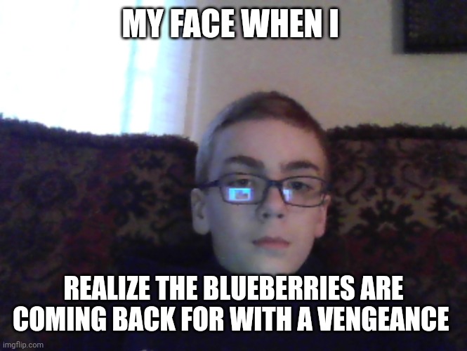 They uprise soon... | MY FACE WHEN I; REALIZE THE BLUEBERRIES ARE COMING BACK FOR WITH A VENGEANCE | image tagged in couch kid | made w/ Imgflip meme maker