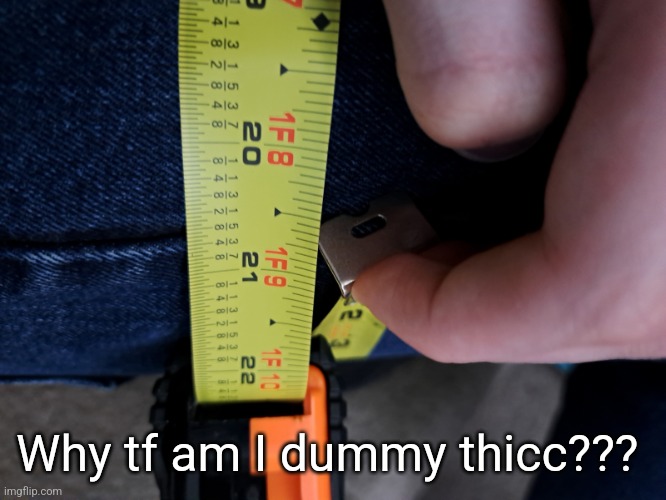 I am a cis male. Why tf are my thighs so thicc | Why tf am I dummy thicc??? | image tagged in thighs,never forget | made w/ Imgflip meme maker