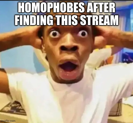 Surprised Black Guy | HOMOPHOBES AFTER FINDING THIS STREAM | image tagged in surprised black guy | made w/ Imgflip meme maker