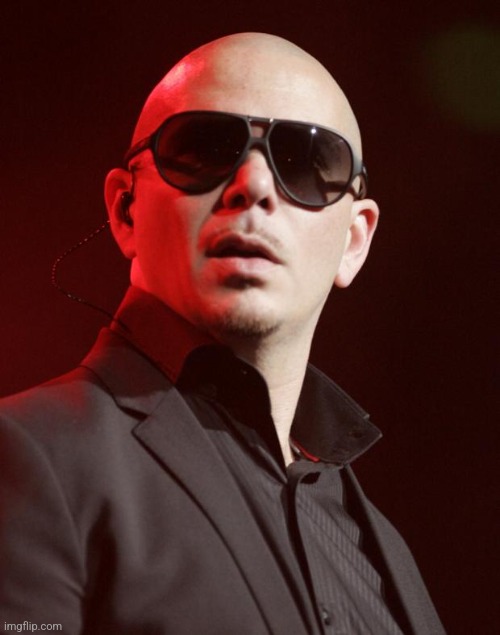 Pitbull | image tagged in pitbull | made w/ Imgflip meme maker