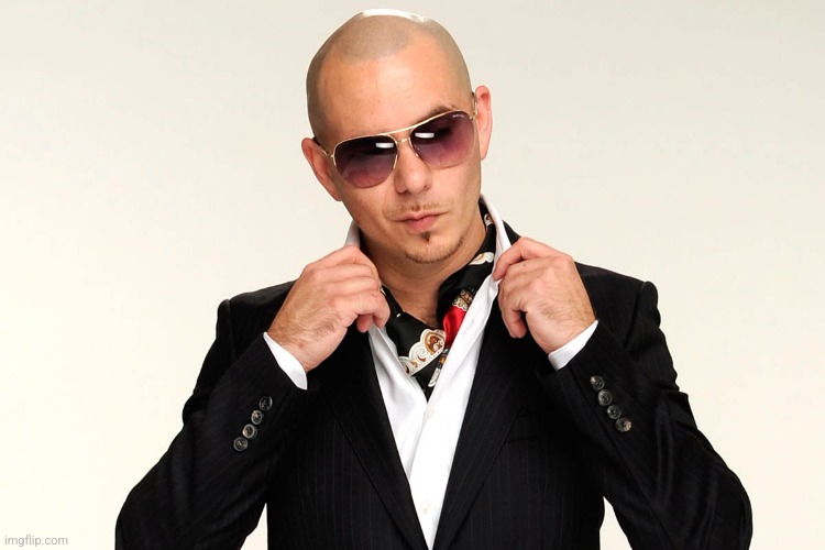 Pitbull Song | image tagged in pitbull song | made w/ Imgflip meme maker