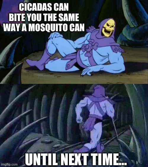 Skeletor disturbing facts | CICADAS CAN BITE YOU THE SAME WAY A MOSQUITO CAN; UNTIL NEXT TIME… | image tagged in skeletor disturbing facts | made w/ Imgflip meme maker