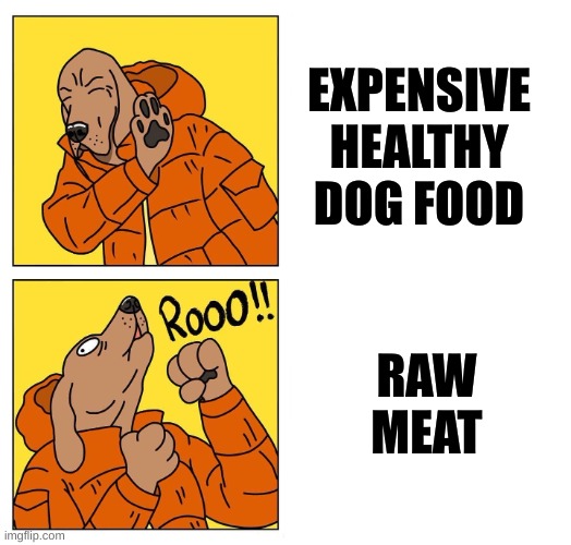 What A Dog dreams of | EXPENSIVE HEALTHY DOG FOOD; RAW MEAT | image tagged in drake dog | made w/ Imgflip meme maker