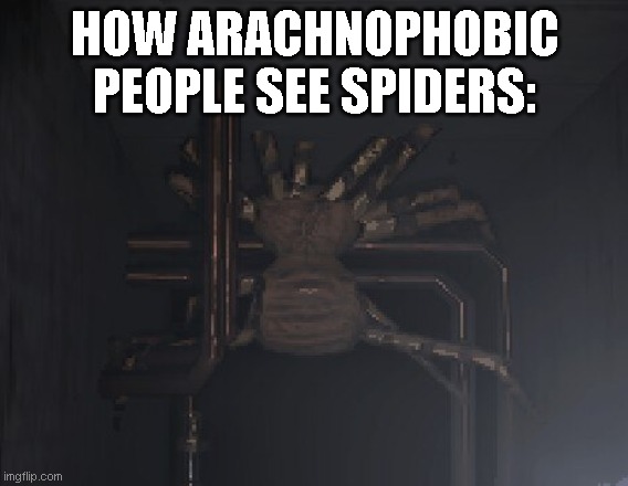 from what i know | HOW ARACHNOPHOBIC PEOPLE SEE SPIDERS: | image tagged in spider in lethal company,memes | made w/ Imgflip meme maker