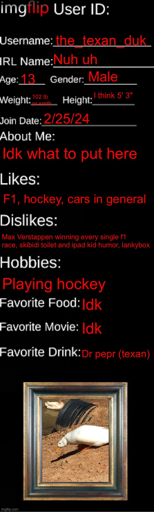 Why did I do this... | the_texan_duk; Nuh uh; Male; 13; I think 5' 3"; 102 lb or smth; 2/25/24; Idk what to put here; F1, hockey, cars in general; Max Verstappen winning every single f1 race, skibidi toilet and ipad kid humor, lankybox; Playing hockey; Idk; Idk; Dr pepr (texan) | image tagged in imgflip id card | made w/ Imgflip meme maker