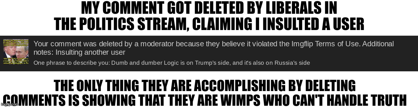 They also comment-banned me for a few hours. What a nice way to show your cowardly self! | MY COMMENT GOT DELETED BY LIBERALS IN THE POLITICS STREAM, CLAIMING I INSULTED A USER; THE ONLY THING THEY ARE ACCOMPLISHING BY DELETING COMMENTS IS SHOWING THAT THEY ARE WIMPS WHO CAN'T HANDLE TRUTH | image tagged in liberals,wimps,idiot | made w/ Imgflip meme maker