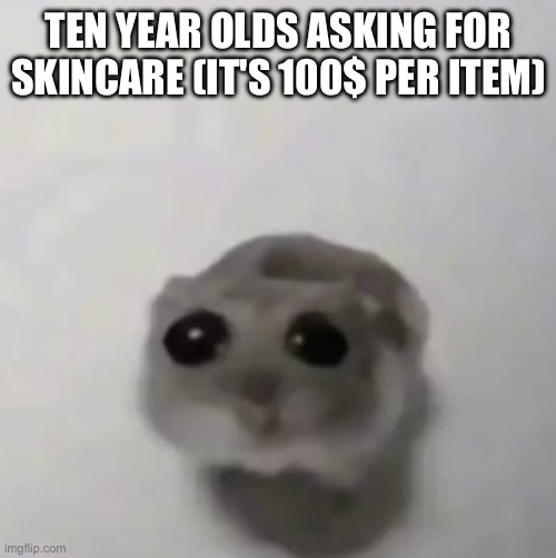 sad hamster | TEN YEAR OLDS ASKING FOR SKINCARE (IT'S 100$ PER ITEM) | image tagged in sad hamster,begging,spoiled,memes,funny | made w/ Imgflip meme maker