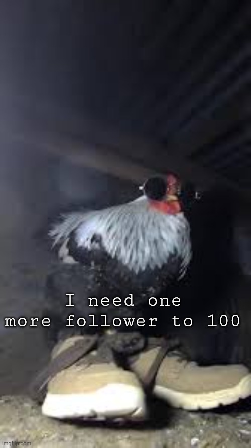 Top comment tells me what I do (no homo or thighs) | I need one more follower to 100 | image tagged in drip chicken sp3x_ | made w/ Imgflip meme maker
