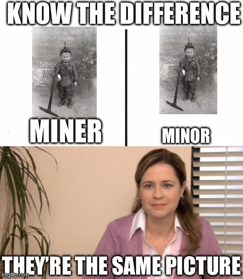 Minor miner | KNOW THE DIFFERENCE; MINER; MINOR; THEY’RE THE SAME PICTURE | image tagged in know the difference psychic and side kick,they're the same picture,minor,miner | made w/ Imgflip meme maker