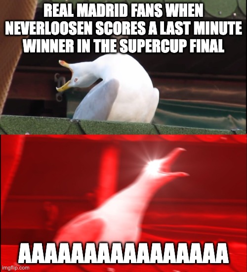 neverloosen | REAL MADRID FANS WHEN NEVERLOOSEN SCORES A LAST MINUTE WINNER IN THE SUPERCUP FINAL; AAAAAAAAAAAAAAAA | image tagged in screaming bird | made w/ Imgflip meme maker