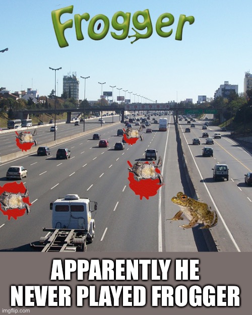 Froggy Frogger Hippos Video Game | APPARENTLY HE NEVER PLAYED FROGGER | image tagged in froggy frogger hippos video game | made w/ Imgflip meme maker