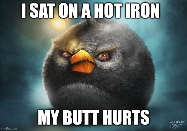 iron | I SAT ON A HOT IRON; MY BUTT HURTS | image tagged in angry birds bomb | made w/ Imgflip meme maker