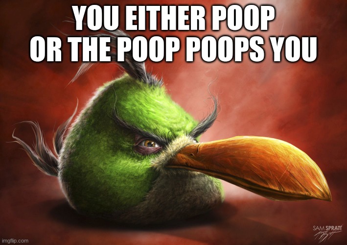 Realistic Angry Bird | YOU EITHER POOP OR THE POOP POOPS YOU | image tagged in realistic angry bird | made w/ Imgflip meme maker