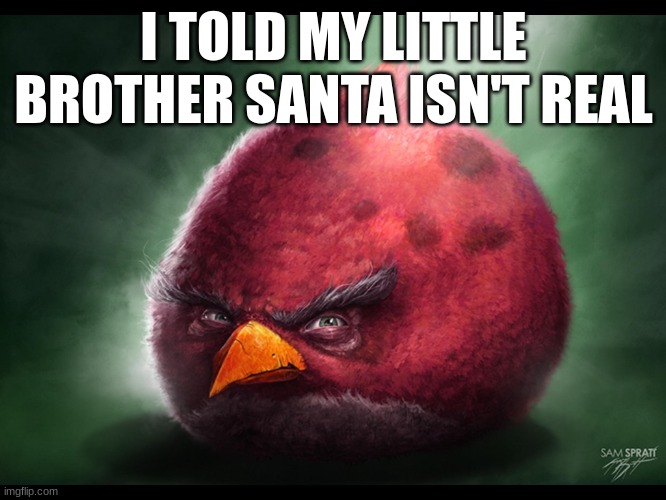 Realistic Angry Bird (big red) | I TOLD MY LITTLE BROTHER SANTA ISN'T REAL | image tagged in realistic angry bird big red | made w/ Imgflip meme maker