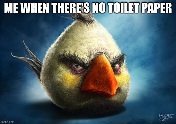 Realistic Angry Bird (Mathilda) | ME WHEN THERE'S NO TOILET PAPER | image tagged in realistic angry bird mathilda | made w/ Imgflip meme maker