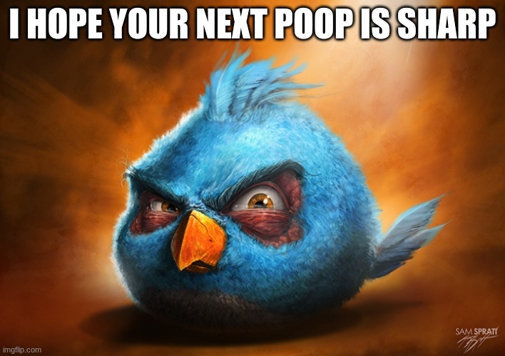 angry birds blue | I HOPE YOUR NEXT POOP IS SHARP | image tagged in angry birds blue | made w/ Imgflip meme maker