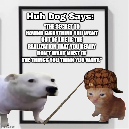HuH? dogs super words of wisdom. | “THE SECRET TO HAVING EVERYTHING YOU WANT OUT OF LIFE IS THE REALIZATION THAT YOU REALLY DON’T WANT MOST OF THE THINGS YOU THINK YOU WANT.” | image tagged in huh,dog,herbert | made w/ Imgflip meme maker