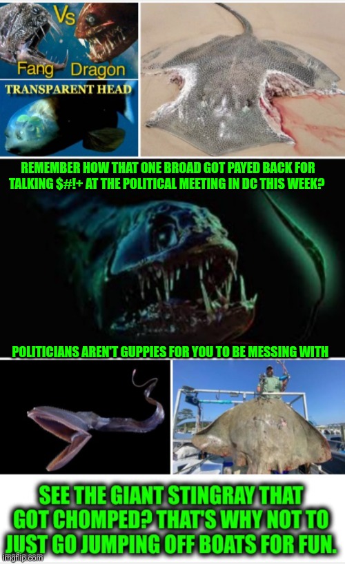 Funny | REMEMBER HOW THAT ONE BROAD GOT PAYED BACK FOR TALKING $#!+ AT THE POLITICAL MEETING IN DC THIS WEEK? POLITICIANS AREN'T GUPPIES FOR YOU TO BE MESSING WITH | image tagged in funny | made w/ Imgflip meme maker